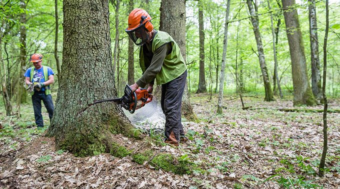 Посмотреть изображение в Твиттере