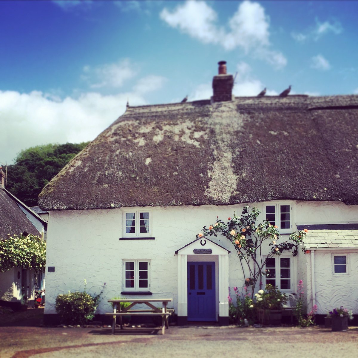 DicksonVintage's tweet photo. Finally booked a #holiday, #devon bound this #summer.  Any recommendations for things to do in #Salcombe? https://t.co/yj8geieBgv