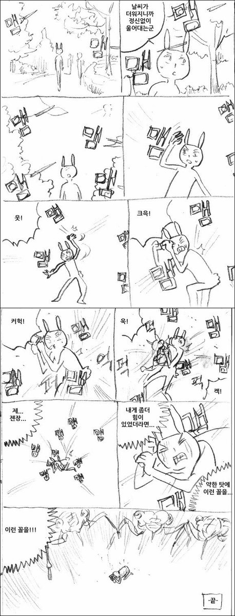 매미 