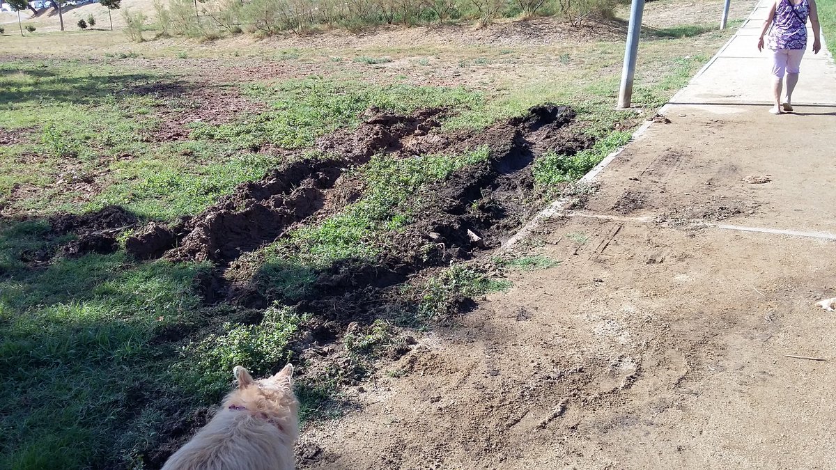 <a href="/AiguesSabadell/">Aigües Sabadell | #MésQueAigua</a> arreglais una fuga y jodeis el parque, esto cuesta dinero, estamos hasta las narices, lo han arreglado hace un mes #Sabadell