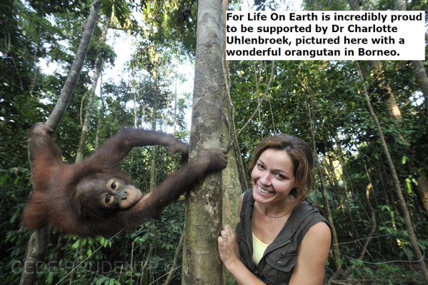 forlifeonearth's tweet photo. @EU_Commission hearing publishes our proof: #primate experiments also fail human patients https://t.co/10kPXQuMfo @PeterEgan6 @ChrisGPackham https://t.co/zze8EjmqLd