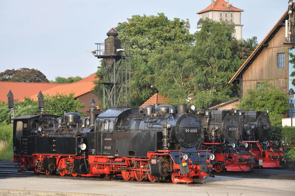 Willi reicht🚂 💨 S04💙🤍 tweet media