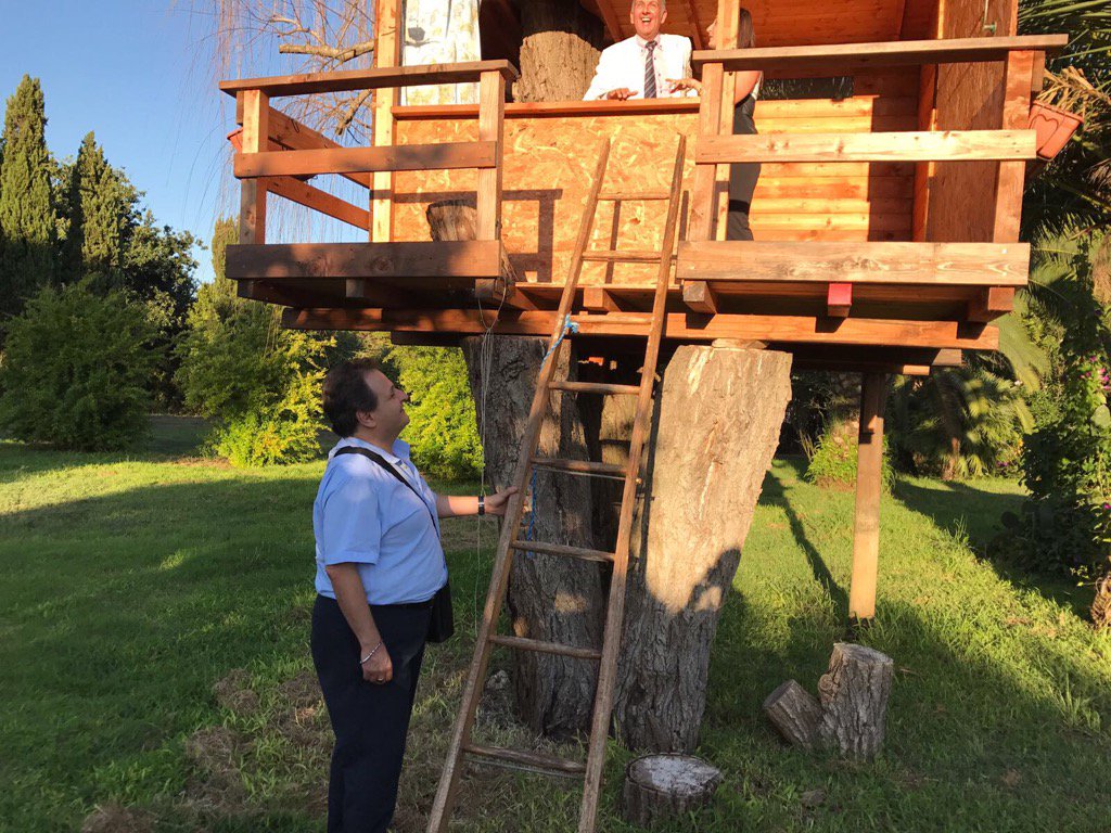 Cola65Cola's tweet image. 