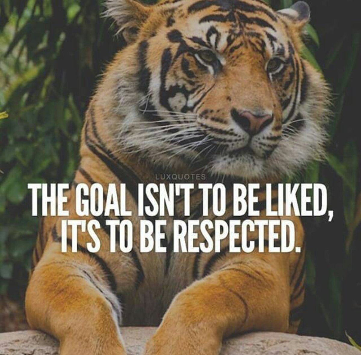Respect is all I need. You can think whatever you like.