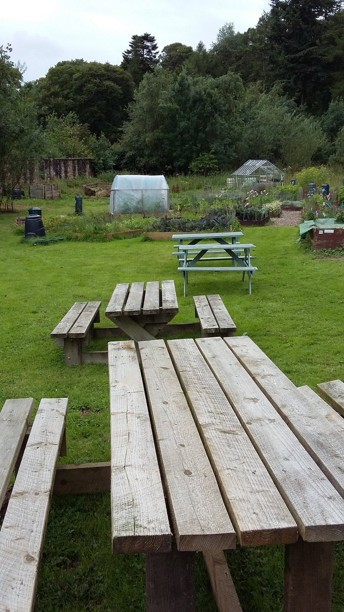 Asslossgarden2's tweet photo. @Asslossgarden2 @howardfarm @AyrshireLarder @EALeisure @AyrshireColl  Assloss garden open  day today sunday 30th  12 noon -16.00  Htsy https://t.co/sC7rBpGWE9