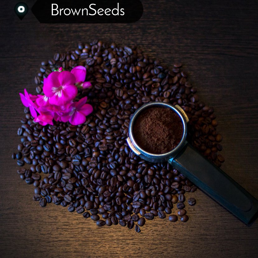 BrownSeeds1's tweet photo. https://t.co/n48p9ZufUt