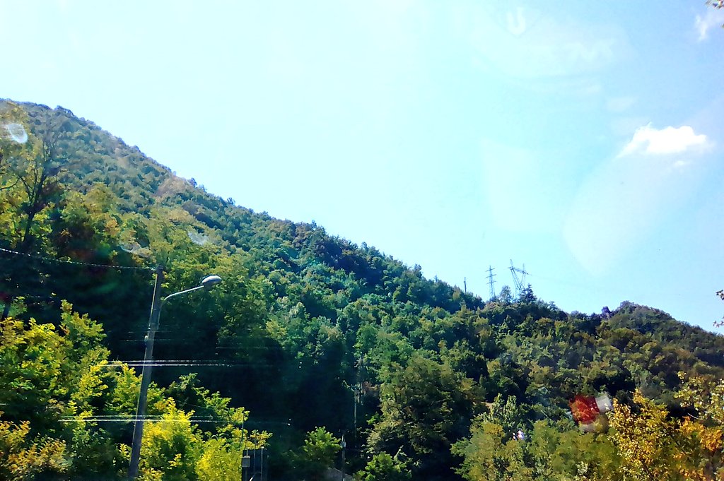 SimonaSr29's tweet photo. Prendere una stradina e trovarsi in #liguria ..accade solo in #piemonte ..
#confini #stradadelsale #Appenniniliguri ❤😉 https://t.co/ws5jkoUGgY