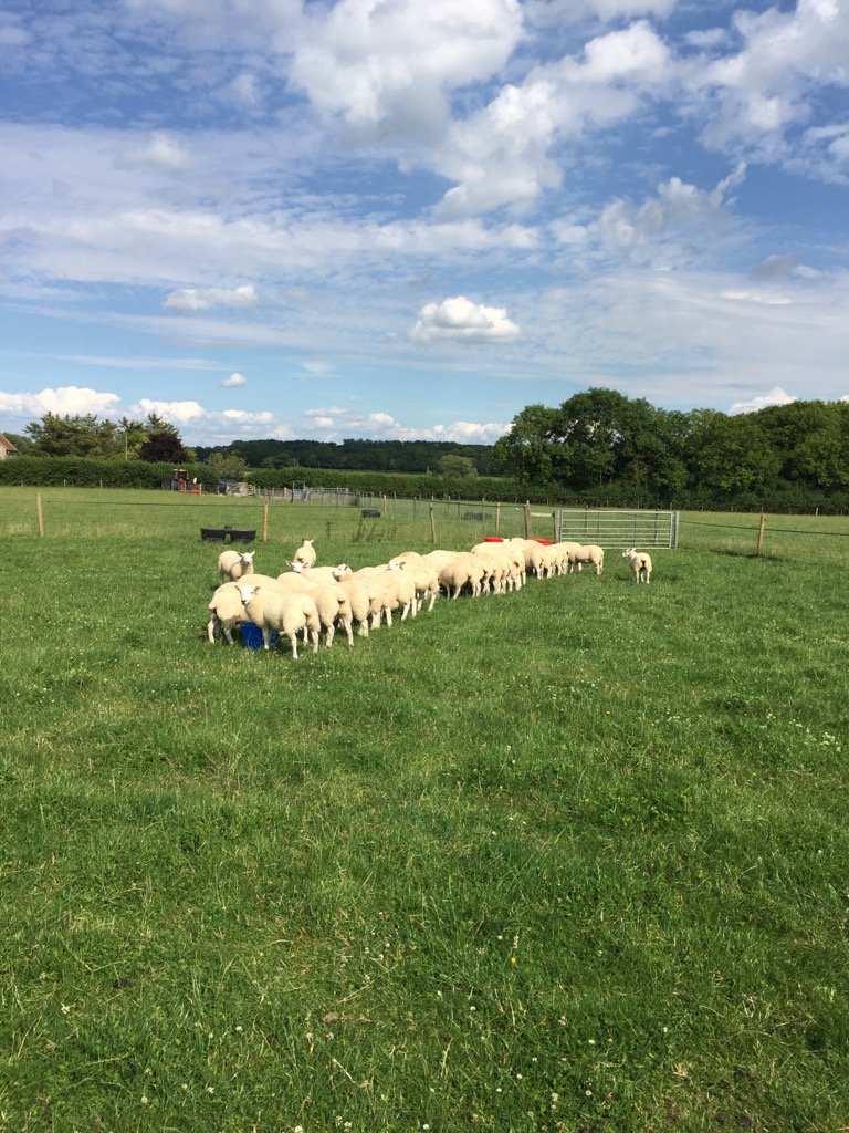 FunctionalFarm tweet picture