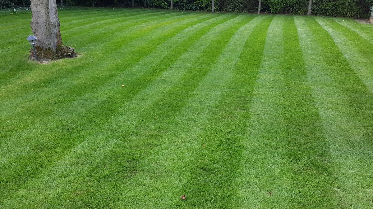 mr_chris_p's tweet photo. Possibly the best lawnmower I've ever owned. Stripes from a lightweight battery mower.. Who'd have thought? #bosch #rotak @BoschUK https://t.co/XRLwFhTpHI