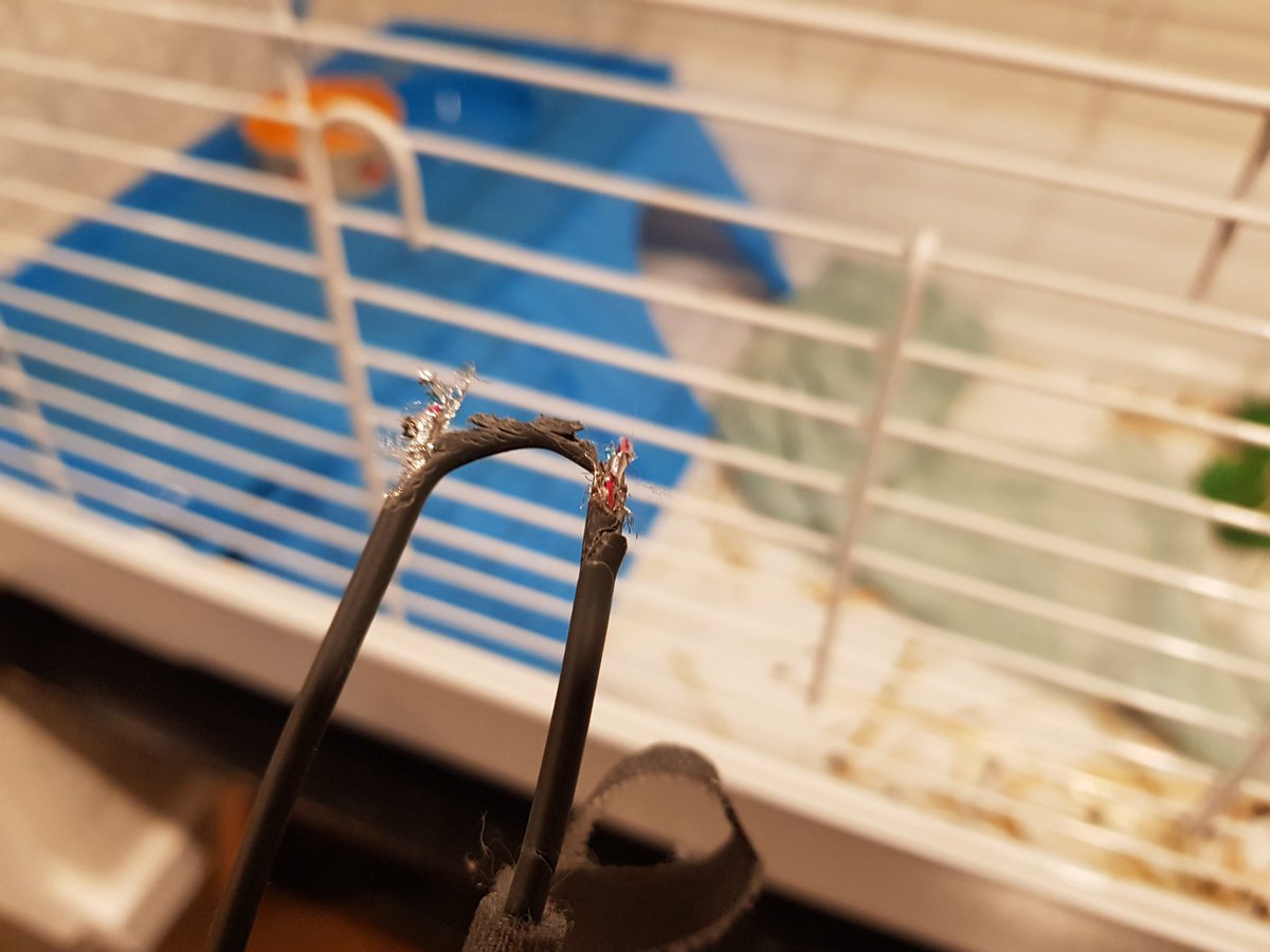 charlietech's tweet photo. Discovered why my #chromecast was offline. I love lazy Sundays #cablecleanup https://t.co/2WCvVary8T