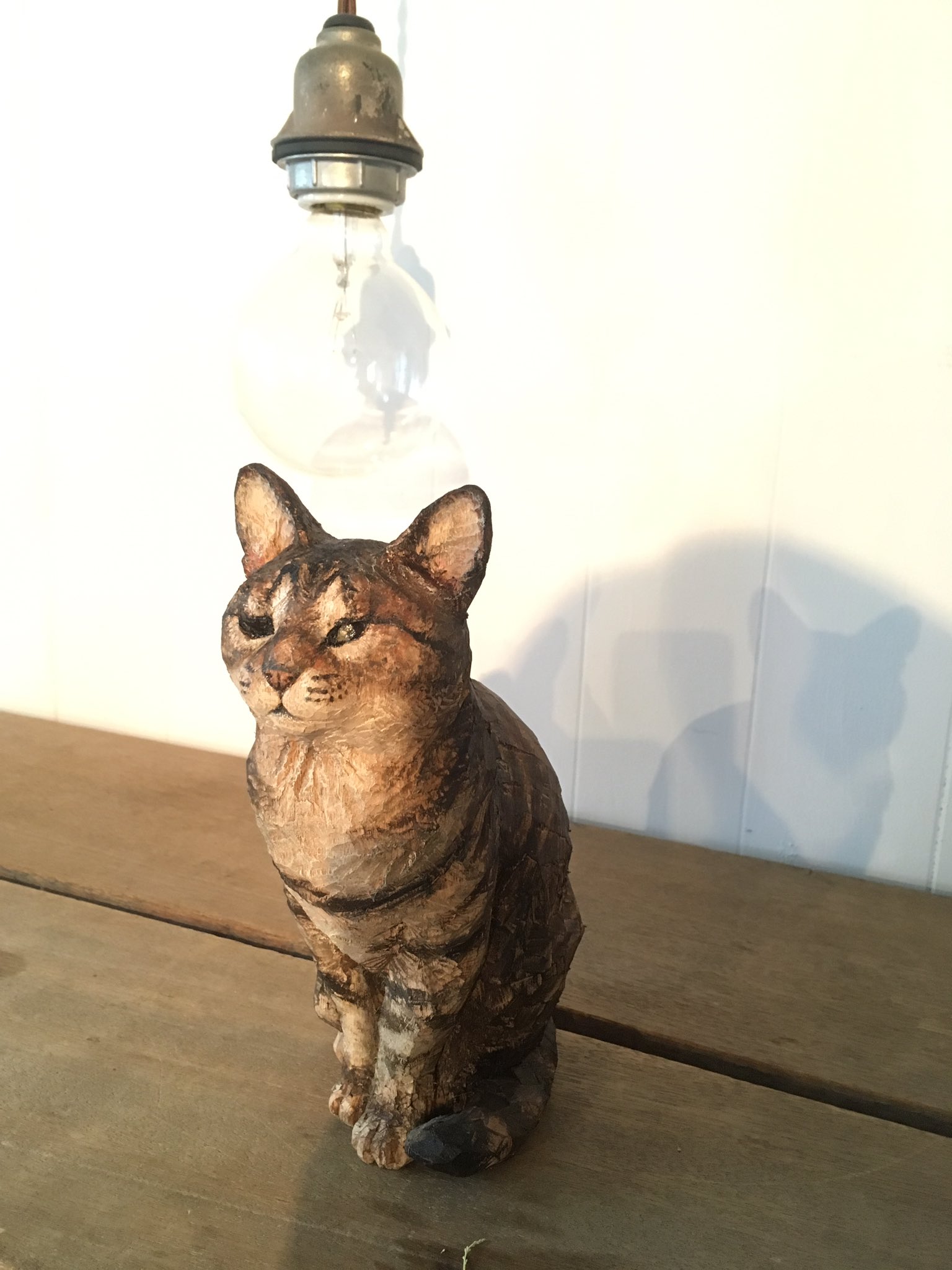 はしもとみお na platformě X: „福岡県 スピタルハコザキ 猫島