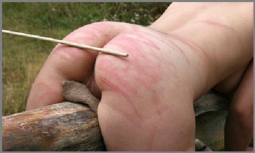 WonderVoy's tweet photo. #BDSM #Bdsmart #Spanking #Submissive #Dominance #Bondage #Whip #Flogging #Eroticart #Naughty #Kinky #Restraints
Punishing on Sunday Morning! https://t.co/lSiHGeNJ5Z