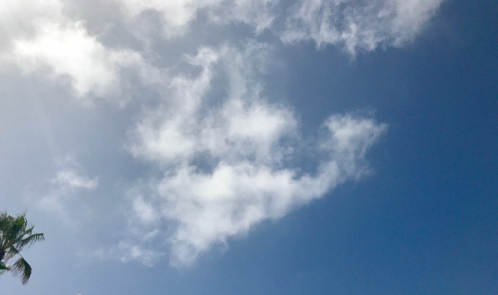 suzyjoyner's tweet photo. First cloud of the week #wispycloud https://t.co/oeD6lulYSk