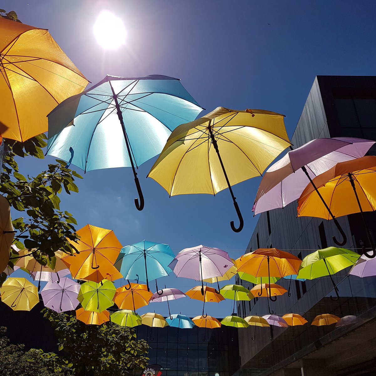 kas_ski's tweet photo. #vivaespania #sopockilans #weekend #niedziela #sun #sunnyday #hot #sopot #loves_sopot #parasole #streetsofspain #hiszpania #festiwal #spain https://t.co/jY0pd9vo5R