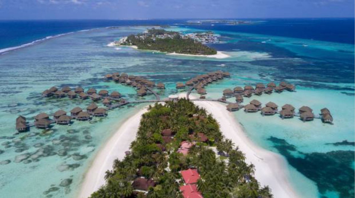 aTravelCompanio's tweet photo. Kiwis in flight: Island of fun in the #Maldives https://t.co/IXcXN4R1VK #wanderlust https://t.co/naPnPNCETs