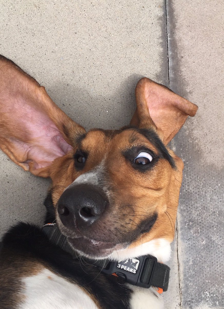 Sending a selfie to ur bestie like