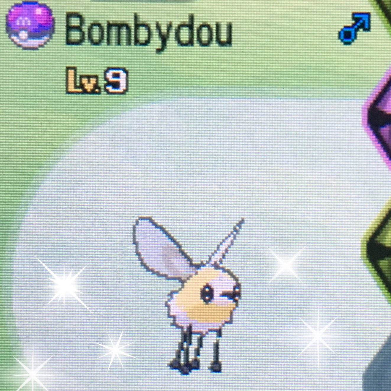 Y タンタル ボール遺伝じゃない マスターボールで捕獲されたアブリーが来たんだけどw ポケモン ポケモン サン ムーン ポケモンサンムーン ポケサンやったる T Co Fd4i5twkyi Twitter