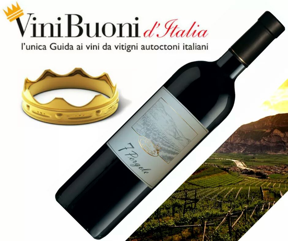 VillaCorniole's tweet photo. #CORONA, massimo riconoscimento, al nostro #Teroldego #Rotaliano doc #7Pergole nella Guida @vinibuoni_it  Soddisfazioni🍷😊 https://t.co/w7mHepsWL6
