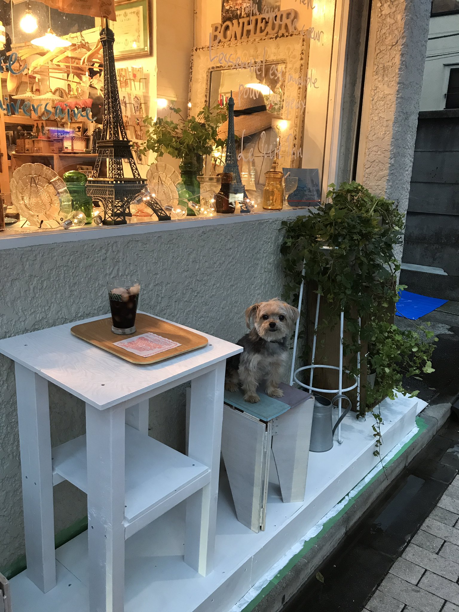 なんでも作るよ Twitter Search Twitter