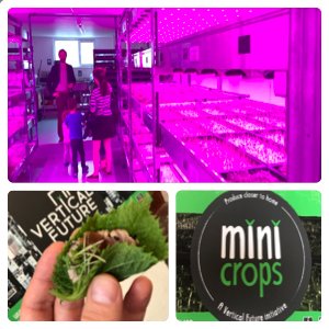 WhatsUpDeptford's tweet photo. Very interesting to see how vertical farming works, and thanks to @MiniCrops for showing us yesterday #verticalfuture #microgreens https://t.co/iH9A3iBx0J