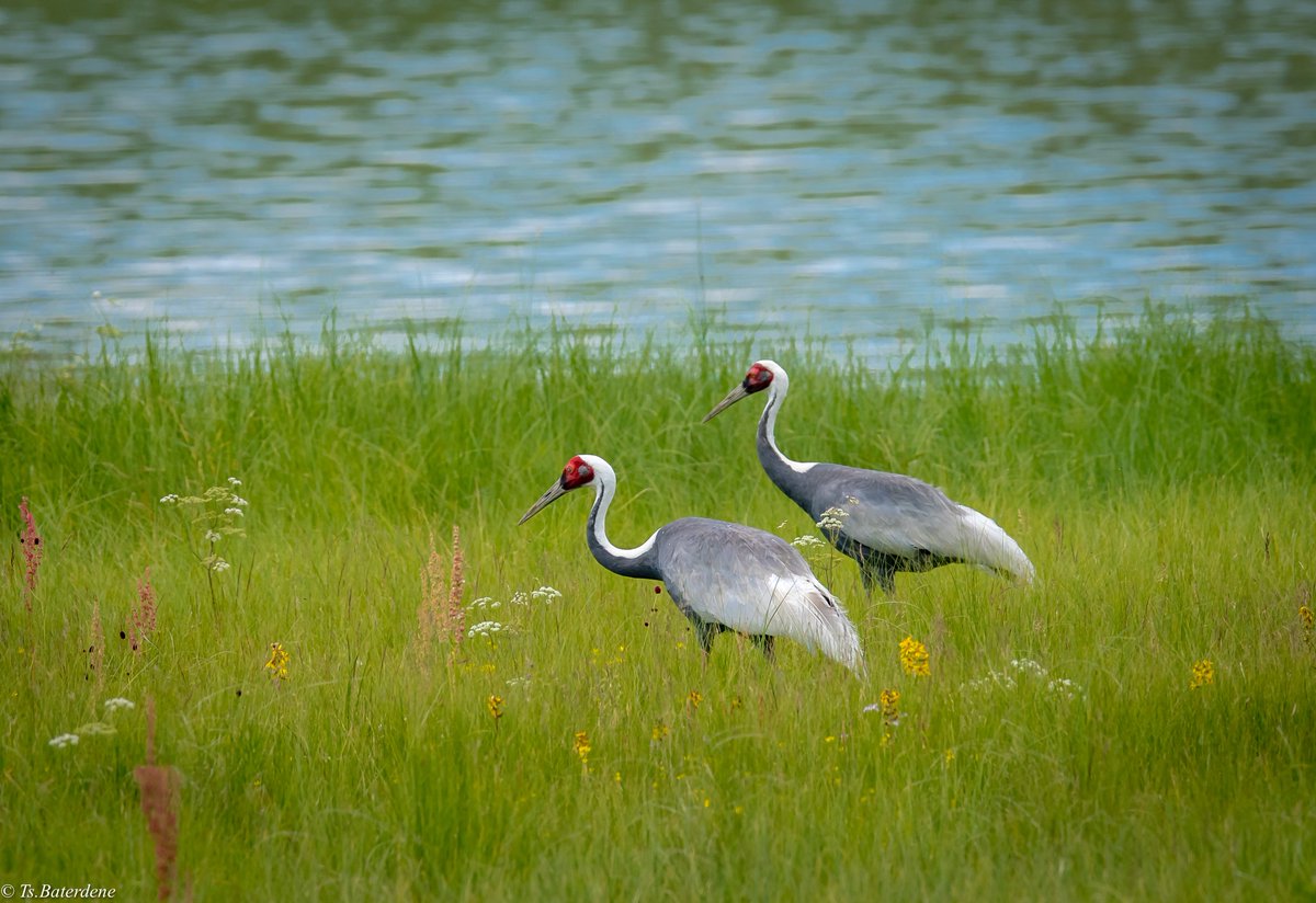 tsbat_IT tweet picture