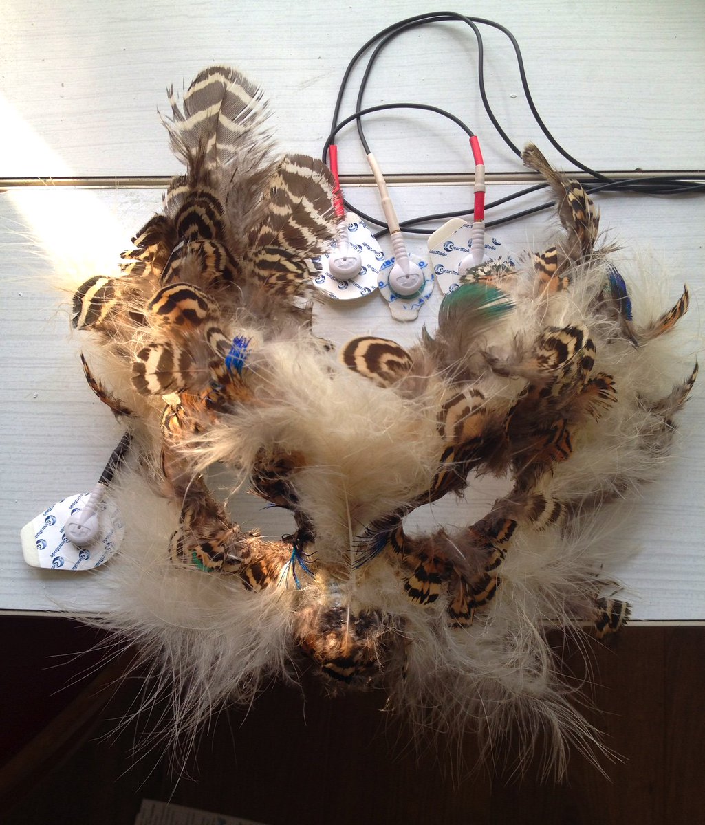 BrainAnalyser's tweet photo. EEG headset I made for stroboscopic interactive performance ‘Creation of the strobes’ #SciArt, #NotNeutral, #EEGart https://t.co/yjdX0ZQTxX