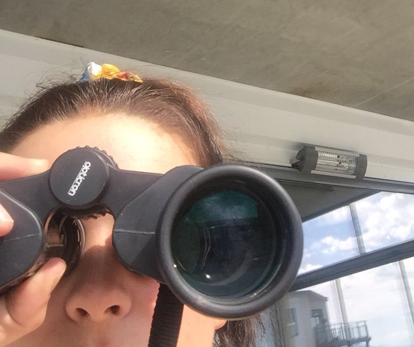 sussiban's tweet photo. Meg som passer på vennene mine https://t.co/Ct46eLnp7e