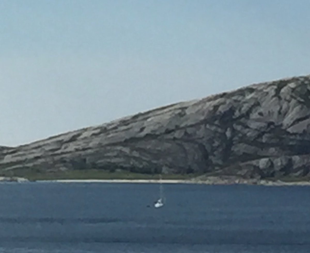 sussiban's tweet photo. Meg som passer på vennene mine https://t.co/Ct46eLnp7e