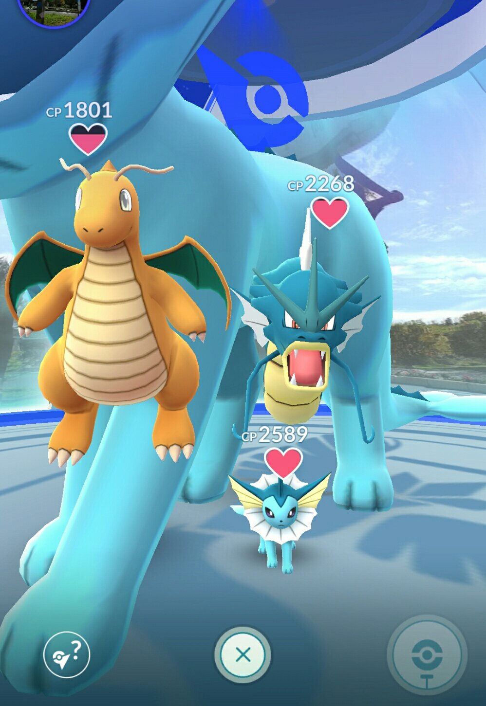 みんち ポケモンgo 面白いバグ なんだか変なバグに遭遇 ๑ ㅁ ๑ シャワーズがジムに登ったポケモンの後ろでにゅっと出てきてクルクルしてた マップでジムの上クルクルしてるアレ チームカラーのジムマークと交代で W クルクル 笑