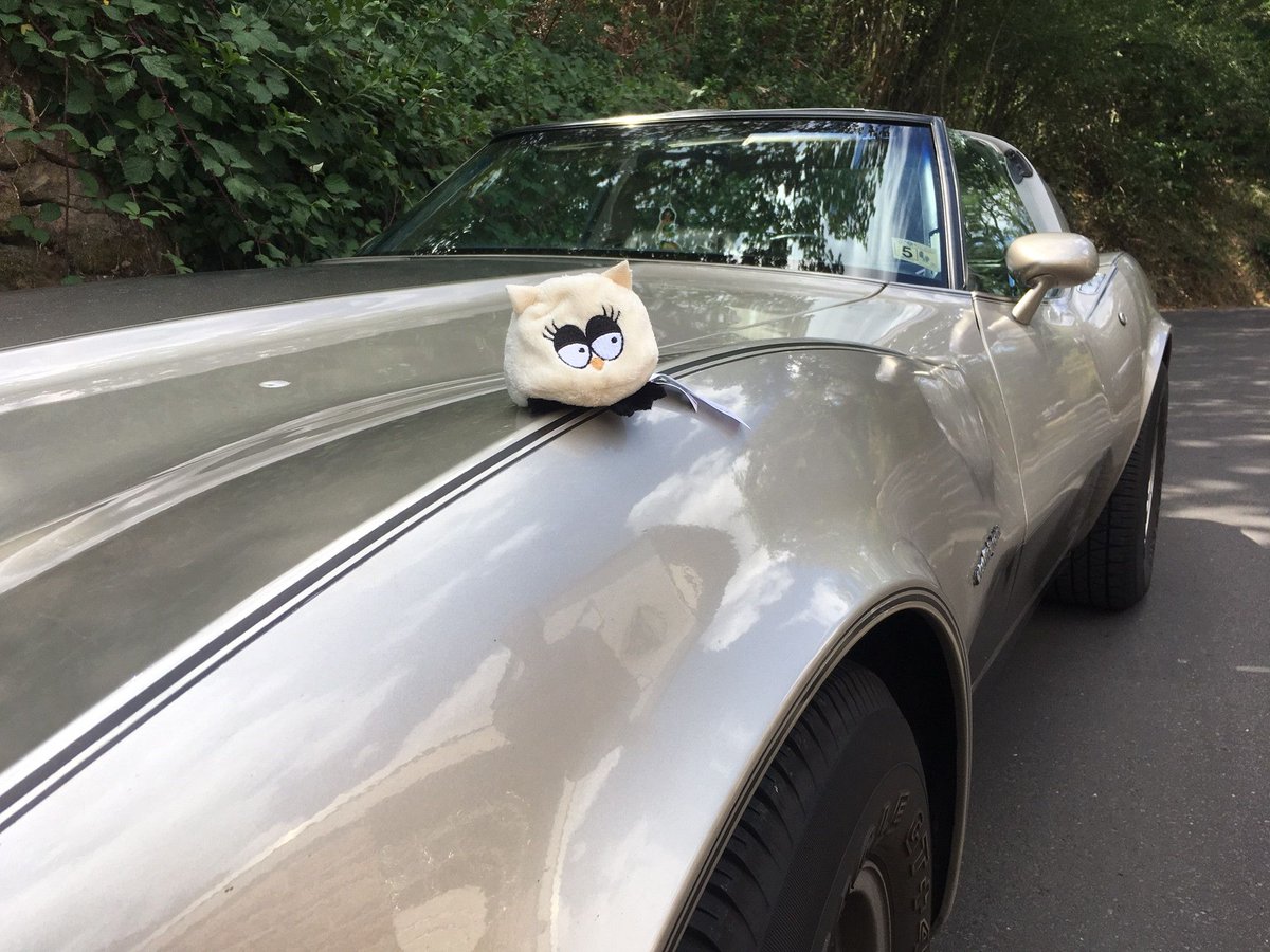 Eule_Isa's tweet photo. Perfekt zum #Wochenende mache ich eine kleine Spritztour mit einem #Oldtimer 😀✌️ https://t.co/mZGFQRNF0d