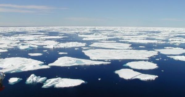 ClimateCentral's tweet photo. Sea ice area is already below what would have been a yearly low in the 1980s https://t.co/NjKTNJCXpr https://t.co/5NBTWYlHJw