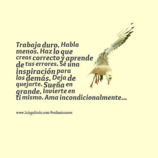 luisgalindo_lg's tweet photo. Manual de vida #reilusionarse https://t.co/ybQ4cJzO6L