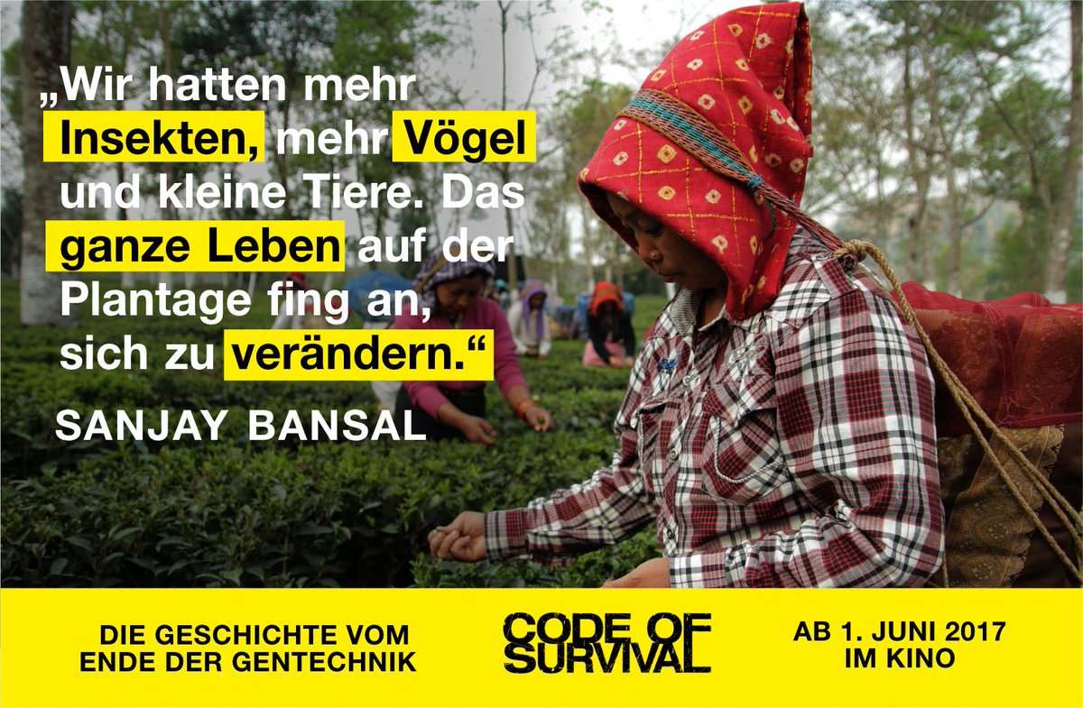 codeofsurvival_'s tweet photo. Erfahrt in #Codeofsurvival welche großartigen #Alternativen es zur #Gentechnik gibt. Wie wär's mit einem #Kinobesuch am #Wochenende? 🍿 https://t.co/OuanWYpVnL