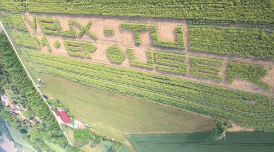 FranceAgricole's tweet photo. Réseaux sociaux : Demande en mariage et stade en paille, cette semaine sur Twitter #TwitterFA - https://t.co/Z88qcU6sR2 https://t.co/Kkzmz7FPN4