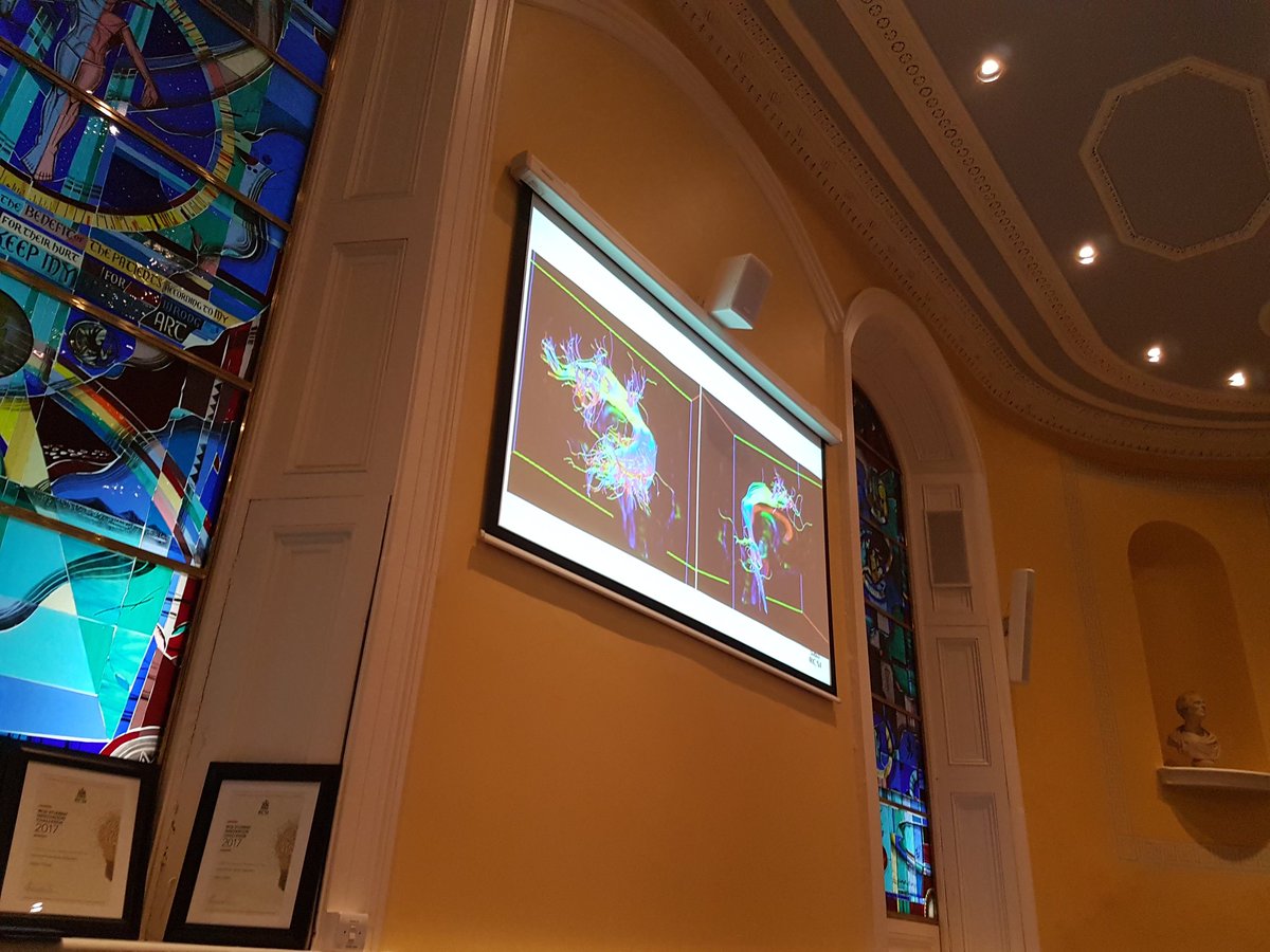 rss_rcsi's tweet photo. Some brainy MRIs #RSSWRAPUP https://t.co/j25DfvO1l1