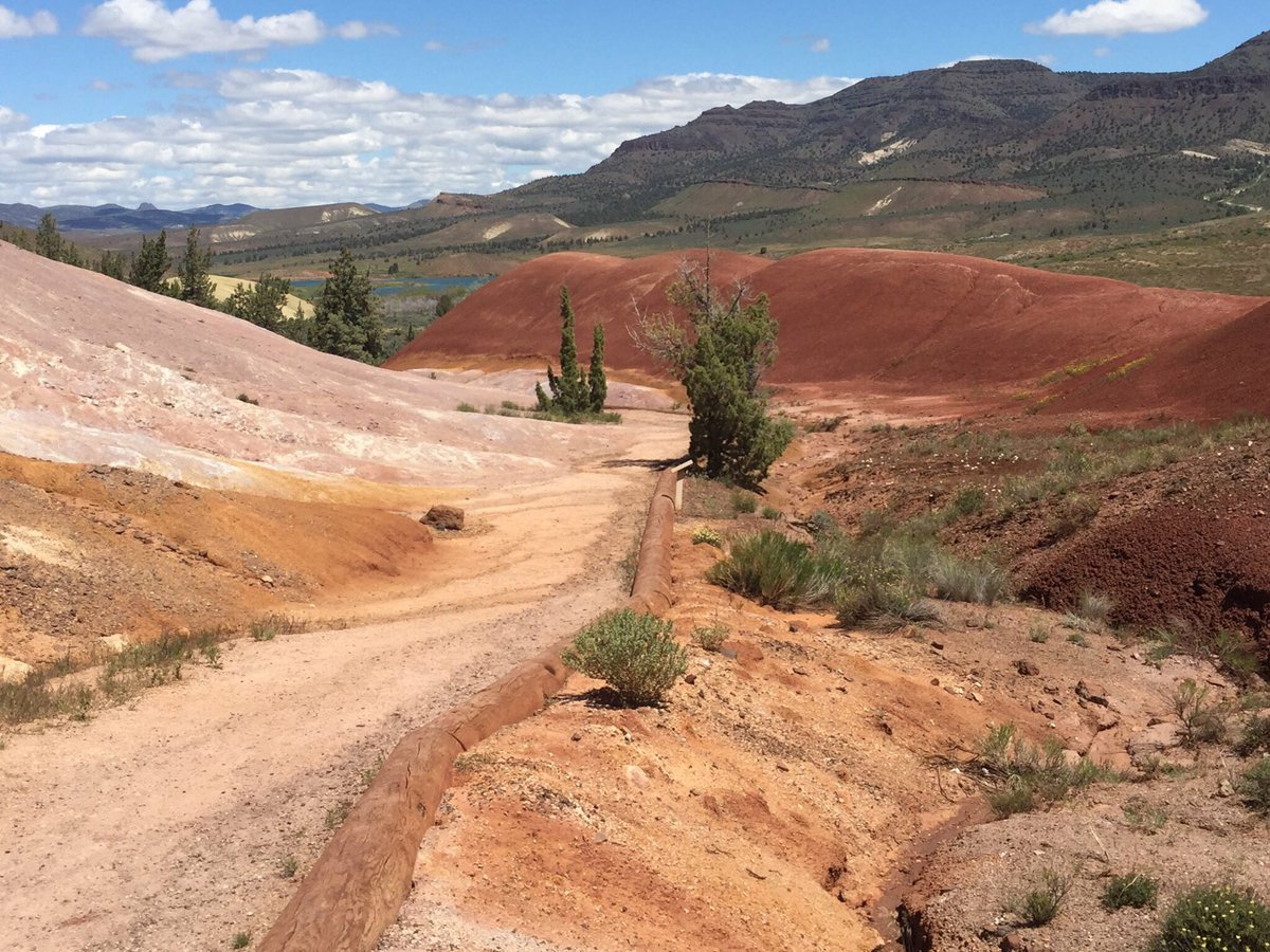 ClearMindedness's tweet photo. The more beautiful 

   the road 

The more bearable 

   the load 

          💥 https://t.co/qod8ZZX1Ap