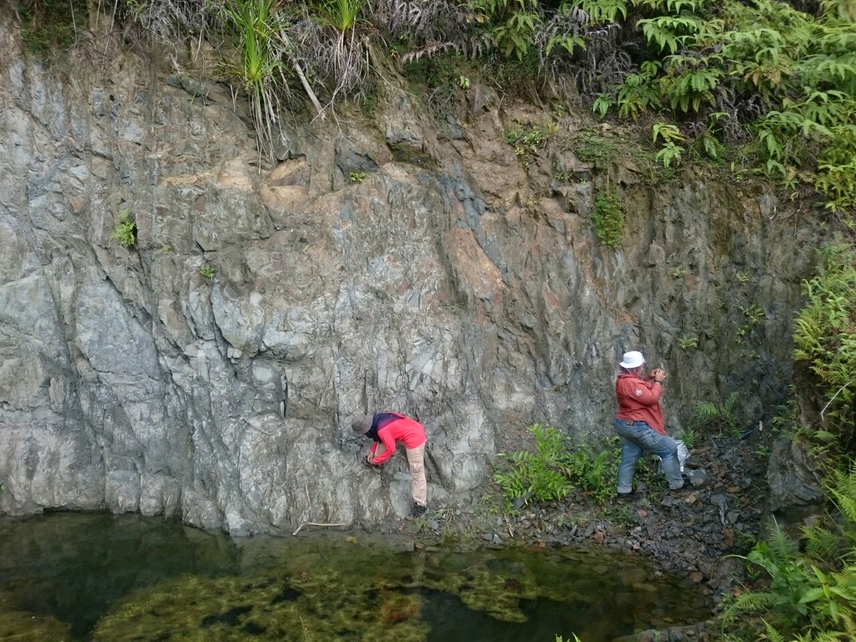 IMB_RG_RCO's tweet photo. Activities update 28 July 2017 @ewinlipi #coastalchapter https://t.co/0kcp9ibMXN