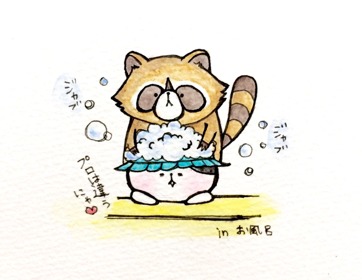 おこにゃん A Twitter プロは違うにゃ アライグマ プロ お風呂 シャンプー 猫がすき イラスト 可愛い 1日1絵 癒し 手描き 絵描き人 Followme Cats