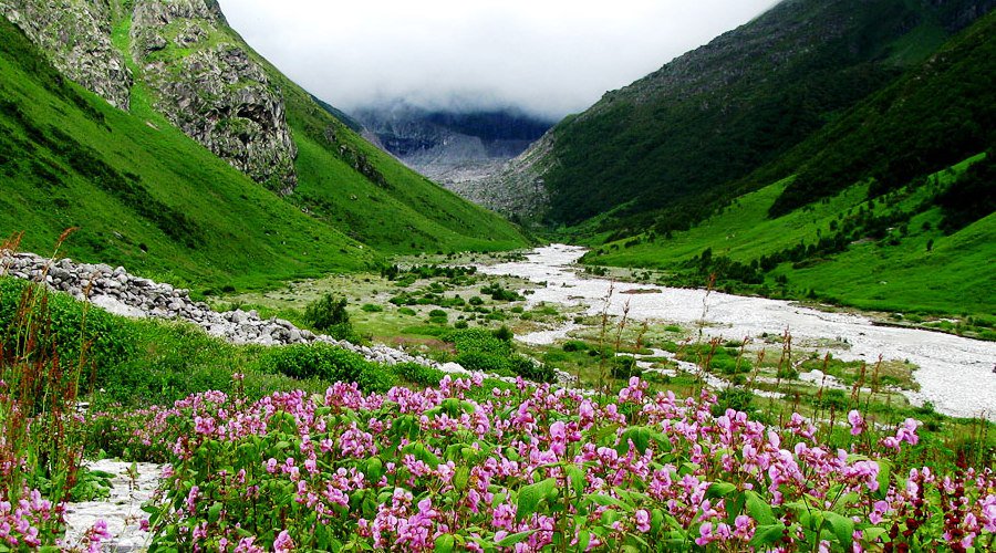 Roopchandnegi's tweet image. UTTARANCHAL - HIMACHAL SAFARI
REGION : UTTARANCHAL – HIMACHAL MARCH – OCTOBER, 16 DAYS
himalayanadventurers.com/uttranchal-him…