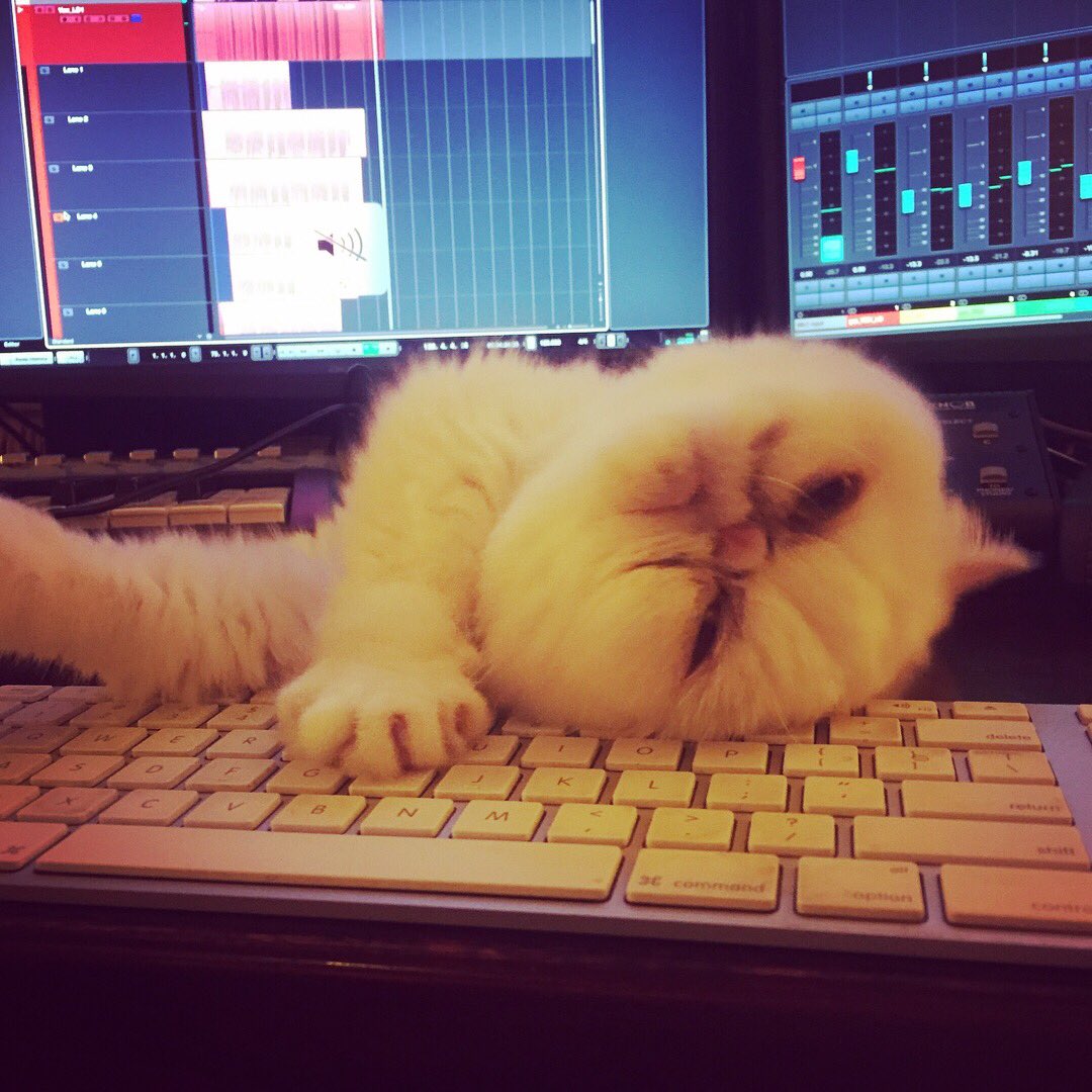 Anton_Bass's tweet photo. When u walk into the studio &amp; see this unfolding! #🙀 #noooo #cattastrophe #musicproduction #producerproblems #studiocat #cat @Seatosun https://t.co/hxRzg5kEoZ
