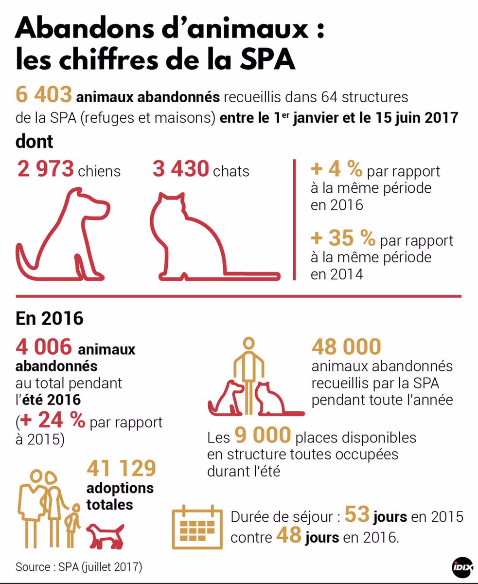 SPA_Officiel's tweet photo. Le #chiffre : + 35% d’animaux abandonnés et recueillis par #laSPA au 1er sem 2017 vs 2014. Une situation alarmante… @IDIX_Presse https://t.co/JqCj9mFyXl