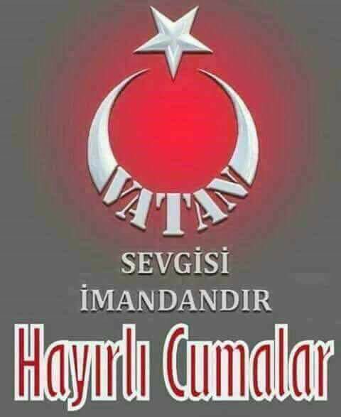 Rıfat Köroğlu (@fat_koroglu) on Twitter photo 