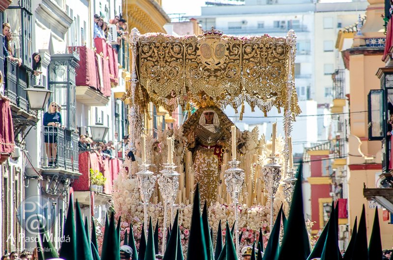 apasomuda's tweet photo. Benditas mañanas de viernes soledas como esta ..... @EspDeTriana #SemanaSanta #Triana https://t.co/gzEDrsBvM7