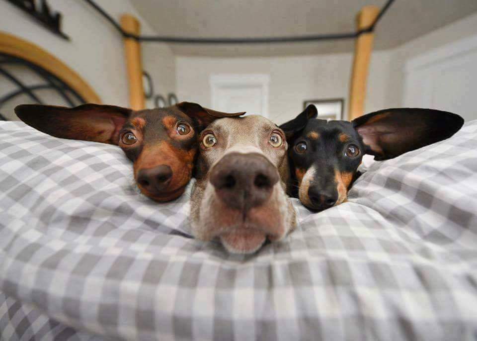 <a href="/Koksalakn/">Köksal Akın</a> Happy and bright day for you ✴️🎼✴️