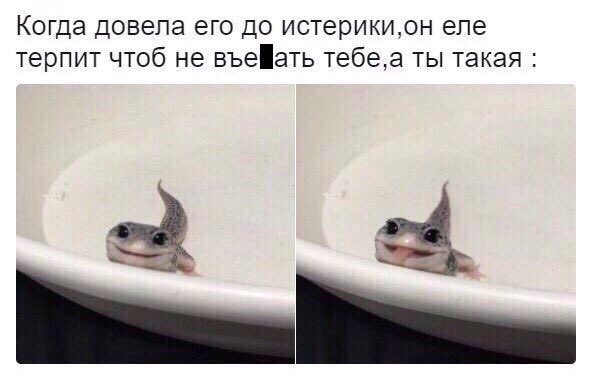 farafonovs's tweet photo. ))😛 https://t.co/k5f361o12O