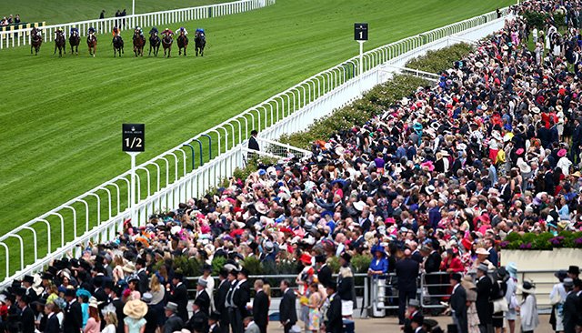 Steady Eddy's Each Way Earner For Today Is - Golden Stunner in the 3.20 at Ascot (5.00 dld.bz/FreeRacingNow