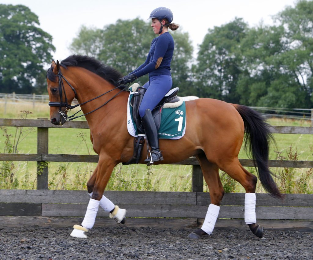 RoRlatest's tweet photo. Featuring in Sat's RoR Parade at @Ascot is Quadrille & @Lou_TBdressage. Owned by The Queen & now excelling in dressage. https://t.co/qBmtM9cSXD