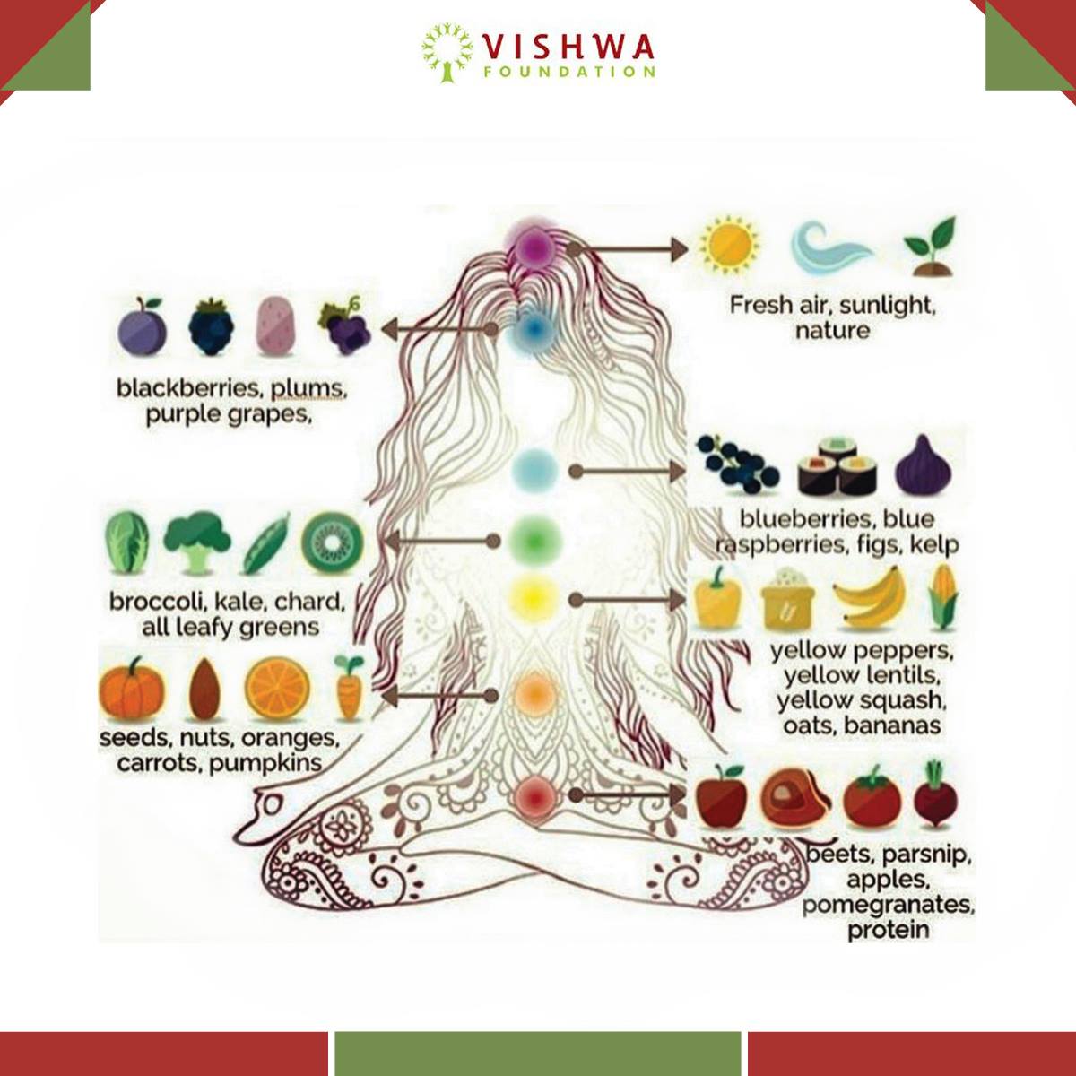 VishwaWellness's tweet photo. Here is a look into the type of foods and which #chakras they help in healing. #Natural #Healing #Ayurveda #DiscoverYourself https://t.co/B8ZkvmUeh1