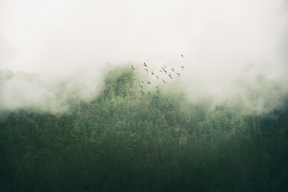 AestheticaMag's tweet photo. #AAP2016 longlisted artist Johan Lund's #photography captures a moment of tranquillity. Deadline: 31 August. https://t.co/xqo3vtOqCR https://t.co/B25gZJqCB2