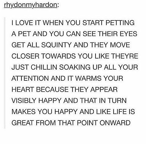 #smrodcats #kitten #funny #cute #kittenmeme #kittenmemes #cats  #kittenproblems #kittenlife #kittenlover #catsrule